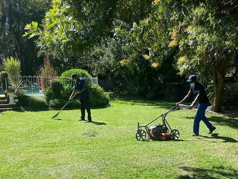 Two professional gardeners mowing the grass.